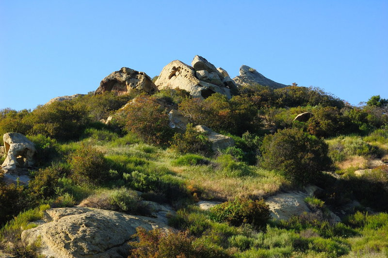 Laguna Coast Wilderness Park