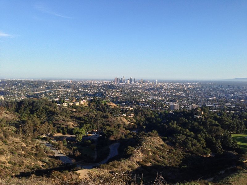 View of downtown L.A. from Glendale Peak.