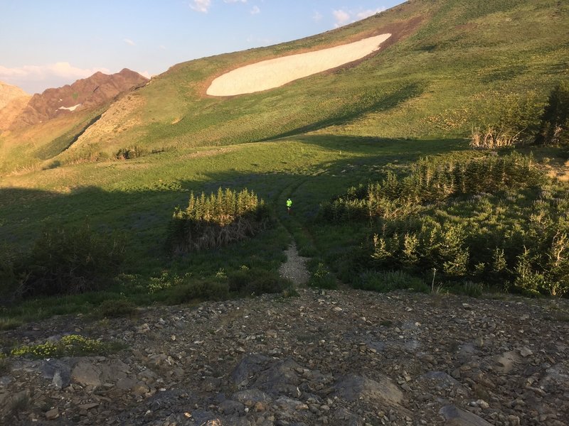 A view of the big snowfield (in early August), nearing the transition from doubletrack to singletrack along the AF Twins trail.