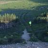 Running back down on the doubletrack trail through a meadow of flowers, near American Fork Twin Peaks