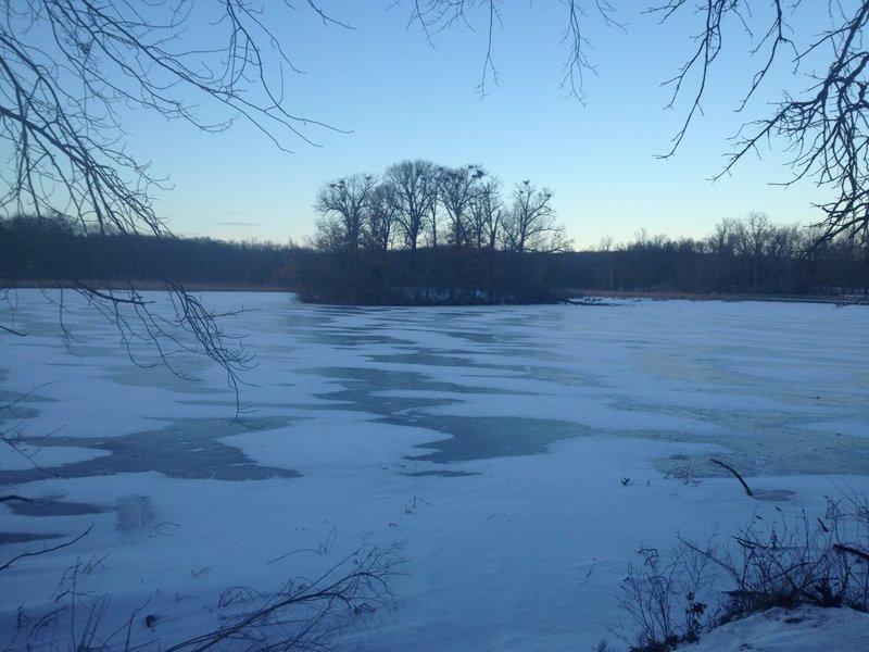 The heron rookery in winter on Wildwing Lake.