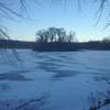 The heron rookery in winter on Wildwing Lake.