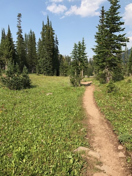 Trail between Emerald and Heather lakes.