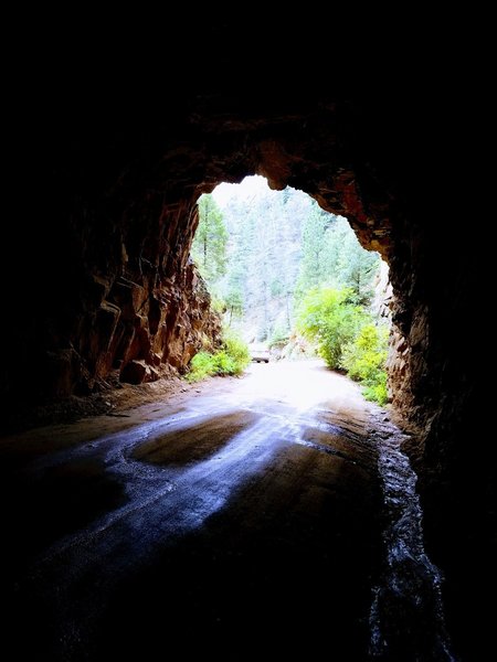 Inside Out of Tunnel Two. Gold Camp Rd.