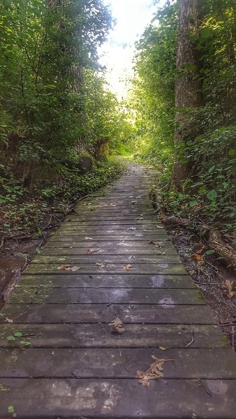 Waterville boardwalk