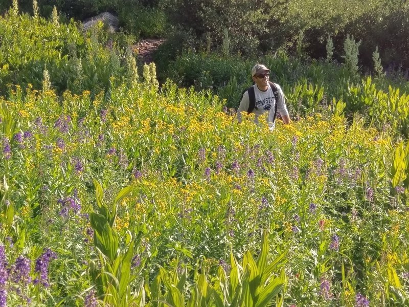 Early August wildflowers are spectacular here.