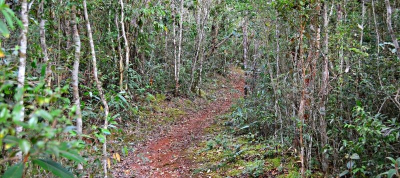 The chapel trail.