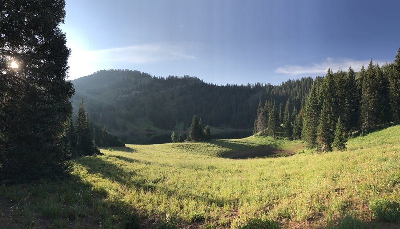 Desolation Lake in the morning light, from an adjacent meadow