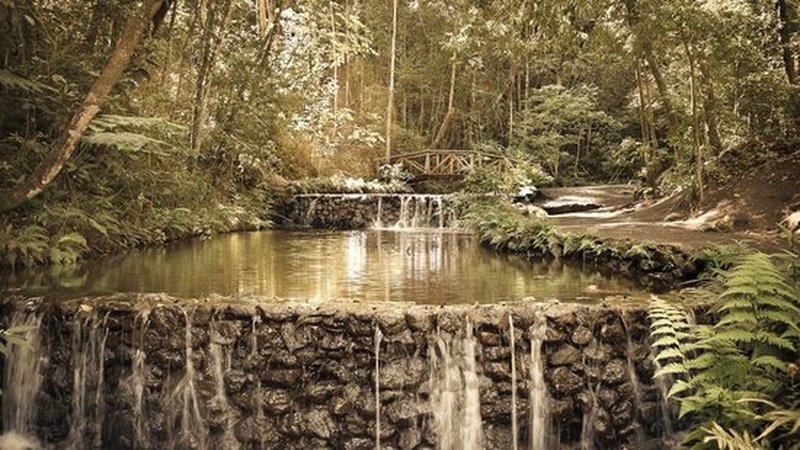 The Cascatinha is just near the entrance of Mangabeiras Park.