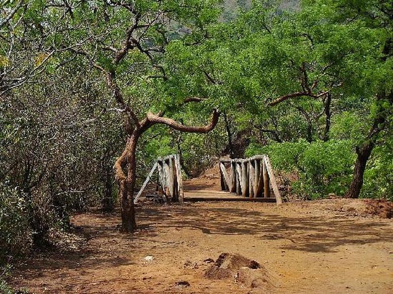 Some of the Mangabeiras Park paths