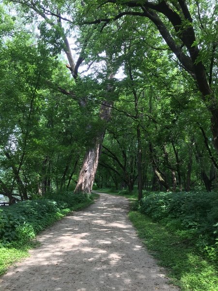 View of the Pike Island path