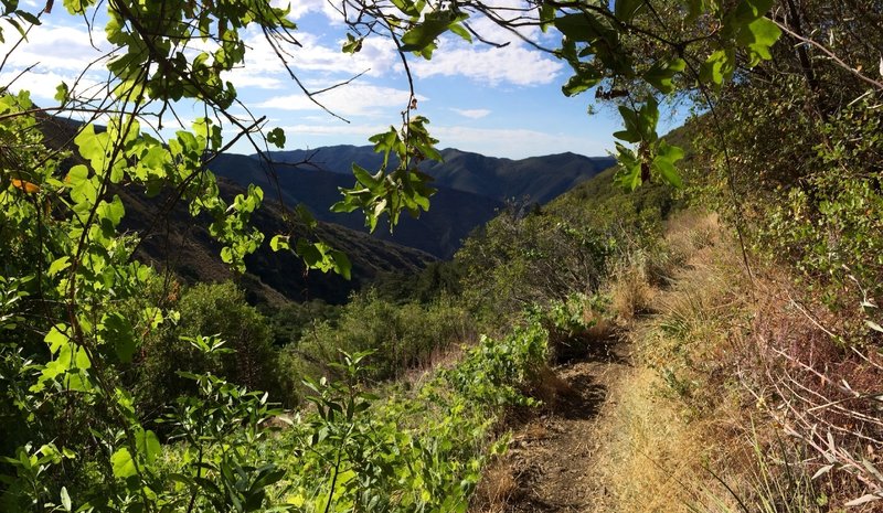 When you can take your eyes off the trail, Lower HJ has fantastic views that will have you forgetting you're not far from civilization.