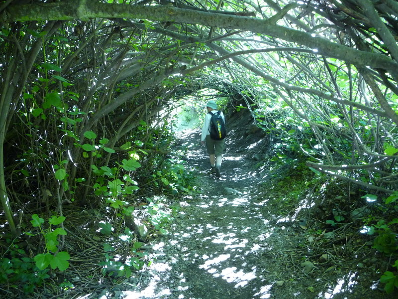 Linda in the overgrowth