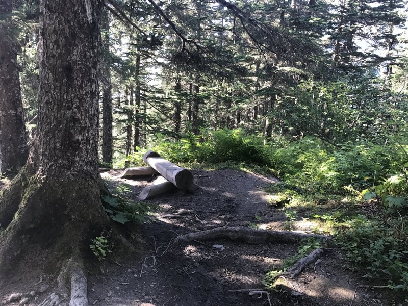Another spot to catch your breath.