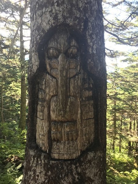 Carving on the alpine loop.