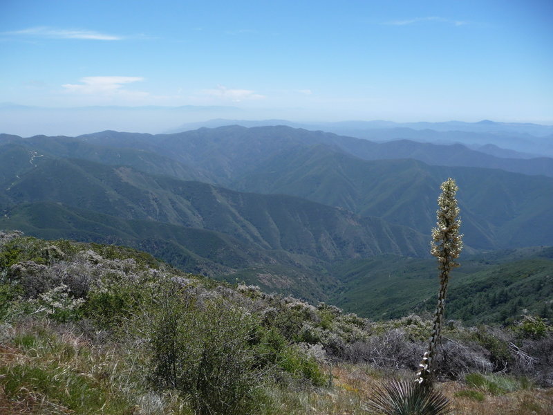 Santiago Peak view