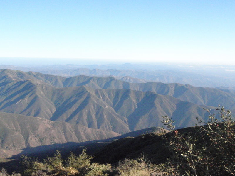 Looking out from Santiago Peak.