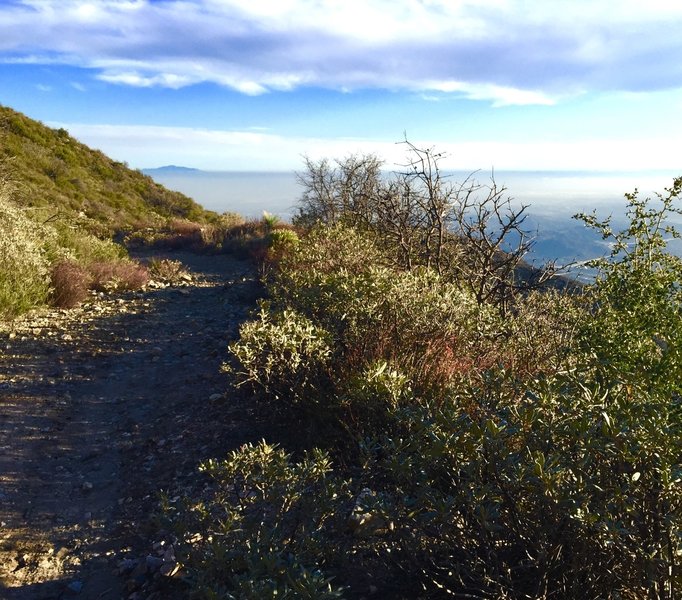 Second to last switchback looking down the Haines Canyon Trail.