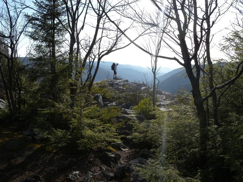 A hiker on Rorhbaugh Trail.