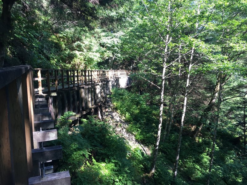 View of Wooden Flume