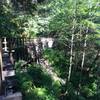 View of Wooden Flume