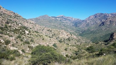Along E Fork Trail towards Rattlesnake Pt