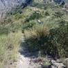 Trail conditions are great on E Fork Trail in the high country