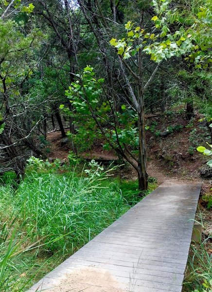 Canyon Trail - Lakeway Canyonlands - Follow the featured route to see this shot along the way.