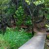 Canyon Trail - Lakeway Canyonlands - Follow the featured route to see this shot along the way.