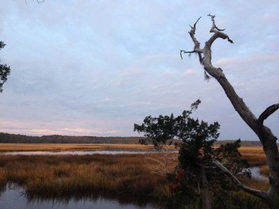 View from the Lookout Tower at the end of the spur trail.