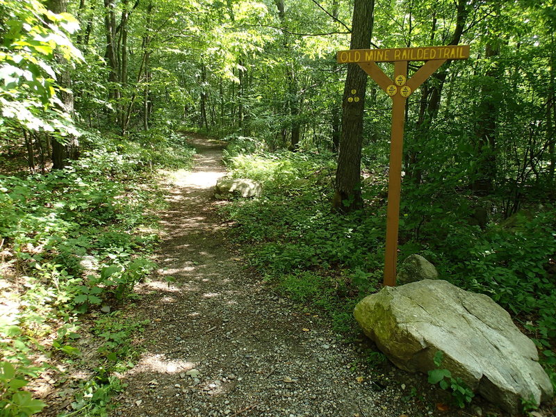 Old Mine Railbed Trailhead