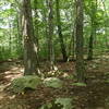 Trail junction with Three Lakes Trail