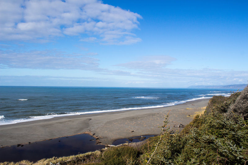 Ocean view from where Skunk Cabbage Trail reaches the beach