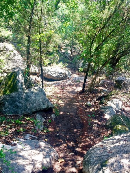 Along the Canyon Trail... such a great afternoon get away!