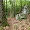 Catfish Loop Trail