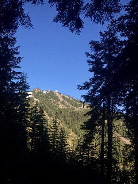 Filtered views of Mt Ashland from FS Rd 200.