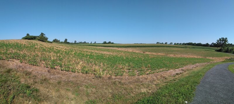 More crops along the trail.