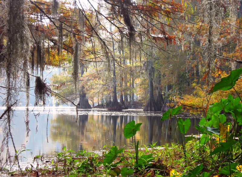 Chicot Lake