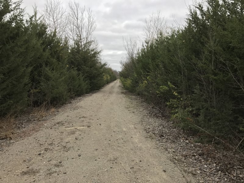 This section of trail is not as remote as the rest, but it is well maintained and a great ride.