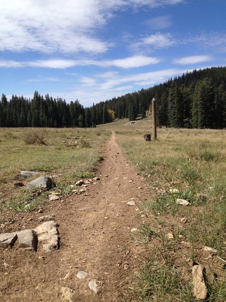 Start of the Doctor Park descent.