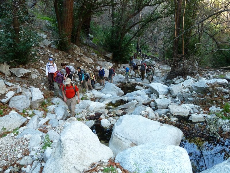 Sierra Club WTC Group Five, Winter 2012.