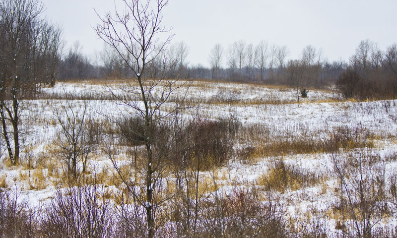 Elm Creek Park Reserve