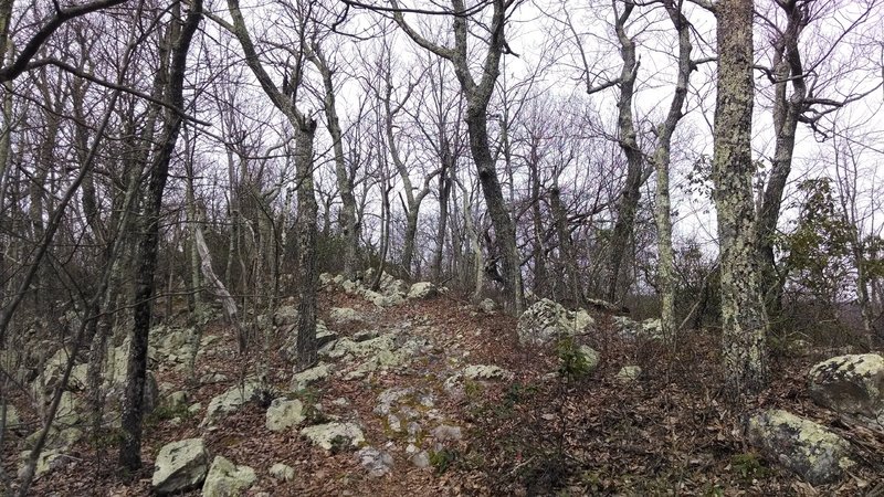 Torry Ridge Trail Rock Garden