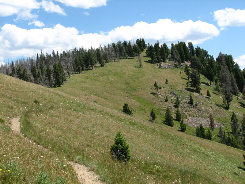 View from the junction of Porcupine Creek Trail and Warm Springs Ridge.