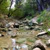 There are a few nice creeks to check out along this trail...just don't drink the creek water ;).