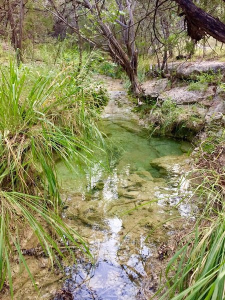 Most of the year, you'll hear the creek flowing as you come across the lower parts of the gullies.