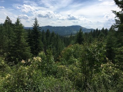View from ridge trail loop at Kaniksu Ranch