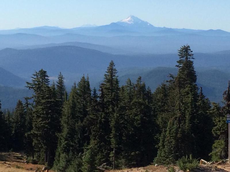 The view from the Timberline Trail towards Mt. Jefferson.  Photo by hproctor.