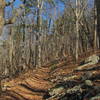 Ascent to Horn Mountain from Pilcher's Pond / Pocket Road