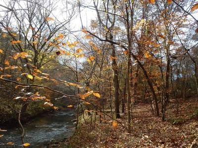 The trail along East Armuchee Creek.